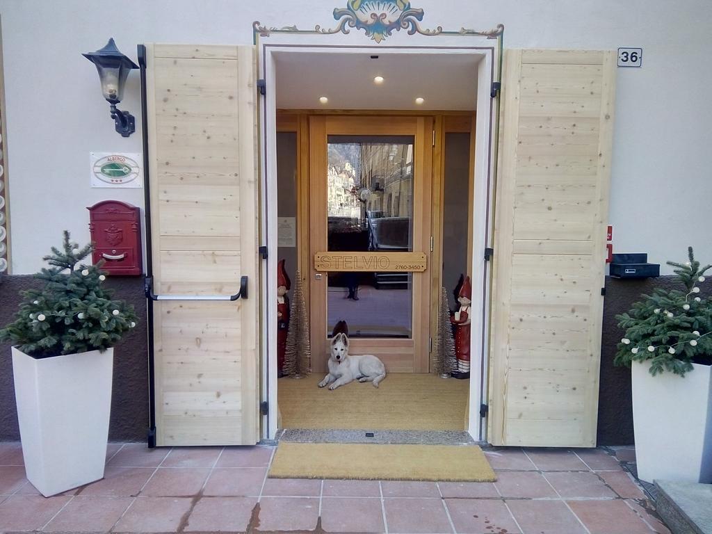 Albergo Stelvio Бормио Экстерьер фото